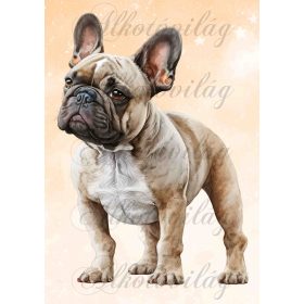   Francia bulldog kutya narancsos háttérrel - PÁRNABLOKK, VÁSZONTÁSKA BLOKK, PATCHWORK BLOKK, UZSONNÁSTASAK BLOKK