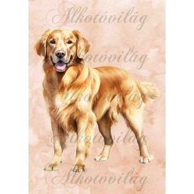   Golden retriever kutyus - PÁRNABLOKK, VÁSZONTÁSKA BLOKK, PATCHWORK BLOKK, UZSONNÁSTASAK BLOKK