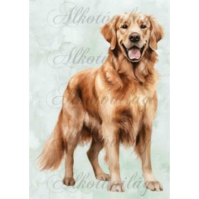   Golden retriever kutyus zöldes háttérrel - PÁRNABLOKK, VÁSZONTÁSKA BLOKK, PATCHWORK BLOKK, UZSONNÁSTASAK BLOKK