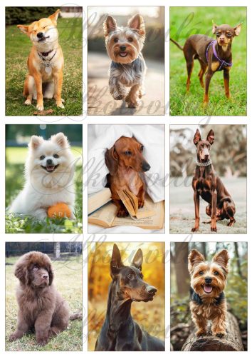 Kutyusok vegyesen 9 x 6 cm - HŰTŐMÁGNES, AJÁNDÉKKÍSÉGŐ készítéshez