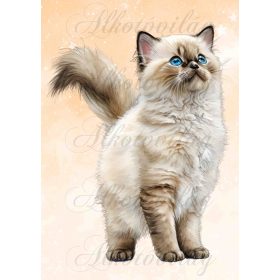   Kész szemű cica - PÁRNABLOKK, VÁSZONTÁSKA BLOKK, PATCHWORK BLOKK, UZSONNÁSTASAK BLOKK