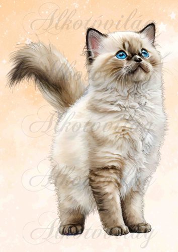 Kész szemű cica - PÁRNABLOKK, VÁSZONTÁSKA BLOKK, PATCHWORK BLOKK, UZSONNÁSTASAK BLOKK