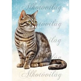   Tarka cica - PÁRNABLOKK, VÁSZONTÁSKA BLOKK, PATCHWORK BLOKK, UZSONNÁSTASAK BLOKK