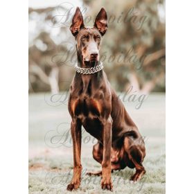   Tekintélyes dobermann kutya - PÁRNABLOKK, VÁSZONTÁSKA BLOKK, PATCHWORK BLOKK, UZSONNÁSTASAK BLOKK