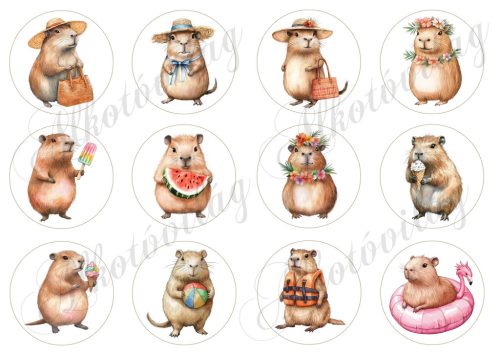 Cuki capybara-k 6 cm-es körökben