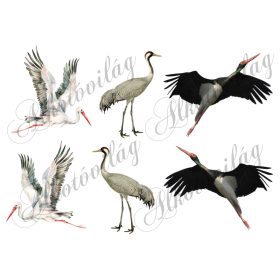 Fehér gólya, daru, fekete gólya madarak - 9 cm magas