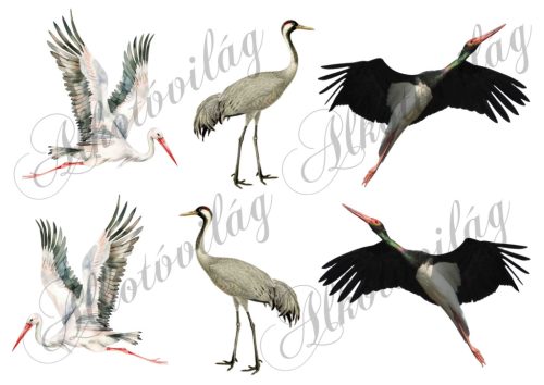 Fehér gólya, daru, fekete gólya madarak - 9 cm magas