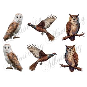 Gyöngybagoly, fácán, fülesbagoly madarak - 9 cm magas