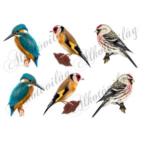 Jégmadár, tengelic, zsezse madarak - 9 cm magas