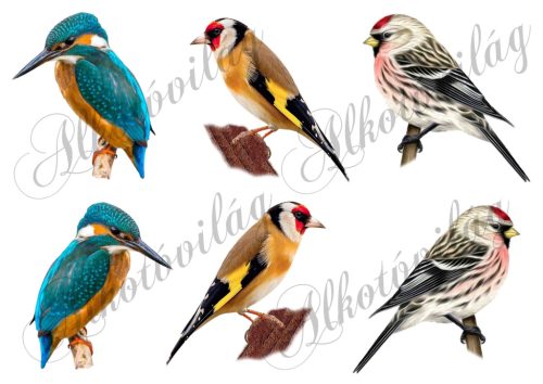 Jégmadár, tengelic, zsezse madarak - 9 cm magas