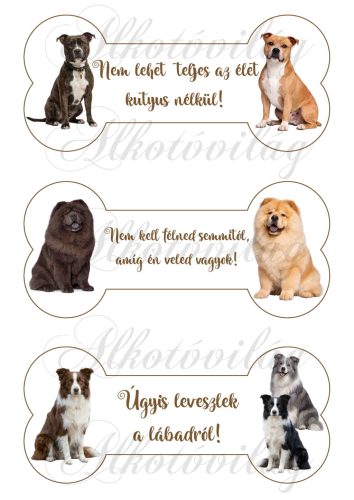 Chau-chau, staffy és collie kutyusok csontokban feliratokkal