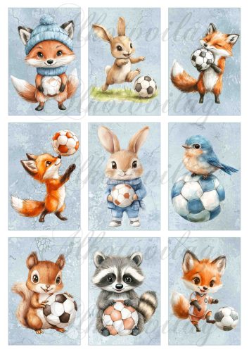 Cuki focizó állatkák kékesszürke márványos alapon - 9 x 6 cm - HŰTŐMÁGNES, AJÁNDÉKKÍSÉGŐ készítéshez