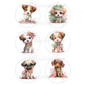 Cuki kutyusok virágokkal 8,5 cm-es körökben 2. változat