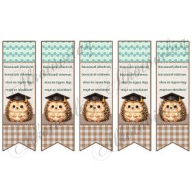   Könyvjelző ovis ballagásra cuki sünivel, idézettel - BARNÁS