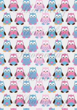 Baglyok- kék-rózsaszín 2