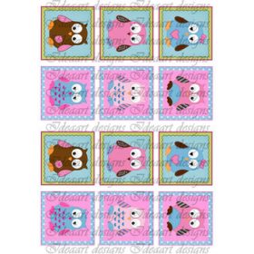 Baglyok pink-kék kisebben