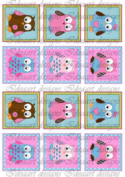 Baglyok pink-kék kisebben