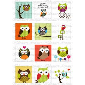 Baglyok színesben 2