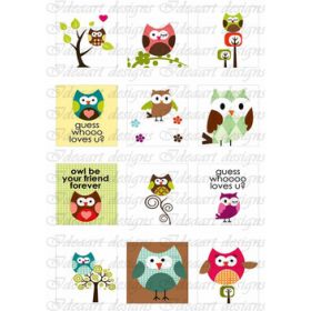 Baglyok színesben 3