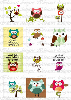 Baglyok színesben 3