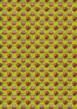 Apró baglyok zöld háttérrel