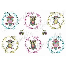 Tavaszi baglyok virágos koszorúban