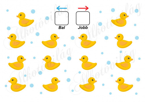 Segíts a kacsáknak tájékozódni