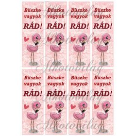 Könyvjelzők motivációs felirattal flamingóval