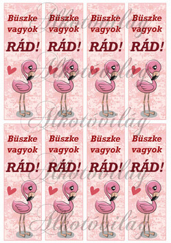 Könyvjelzők motivációs felirattal flamingóval