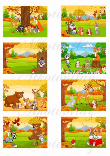 create a story- tell a story about pictures animals cards