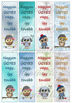 Motivációs könyvjelzők cuki bagoly mintákkal fiús színekben