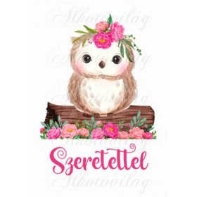 Bagoly rózsákkal SZERETETTEL felirattal