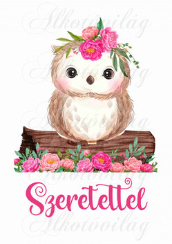 Bagoly rózsákkal SZERETETTEL felirattal