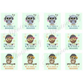 Ma se felejts el mosolyogni fiús baglyokkal