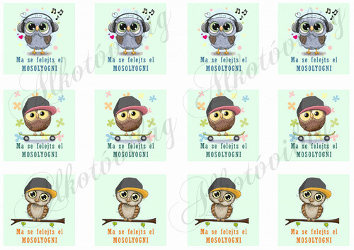 Ma se felejts el mosolyogni fiús baglyokkal