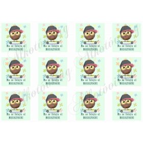 Ma se felejts el mosolyogni fiús, gördeszkás baglyokkal