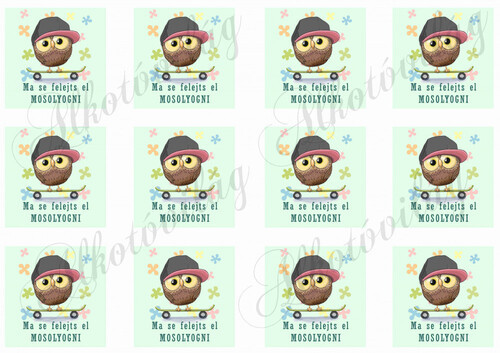 Ma se felejts el mosolyogni fiús, gördeszkás baglyokkal