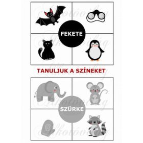 Oktatókártyák - TANULJUK A SZÍNEKET - FEKETE, SZÜRKE