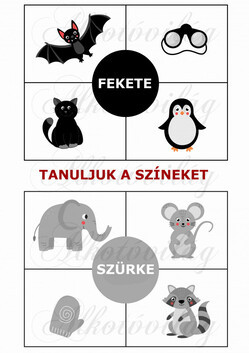 Oktatókártyák - TANULJUK A SZÍNEKET - FEKETE, SZÜRKE