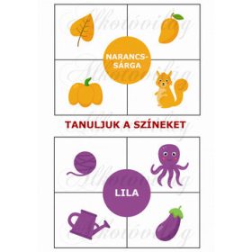  Oktatókártyák - TANULJUK A SZÍNEKET - NARANCSSÁRGA, LILA