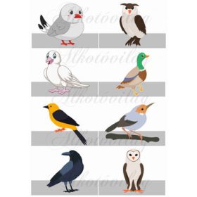 Ujjbábok madarakkal