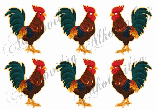 Kakasok 9,5 cm magasak