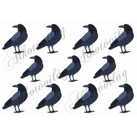 Varjú madarak 6,5 és 5,5 cm magasak