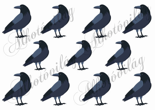 Varjú madarak 6,5 és 5,5 cm magasak