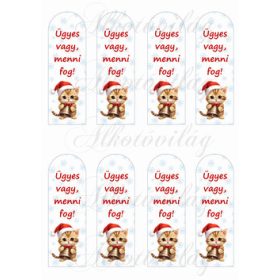 Motivációs könyvjelzők karácsonyi cicákkal