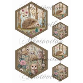   Woodland - cuki süni és baglyok hexagonokban 13,5 x 11,5 cm + 6,5 x 5,5 cm