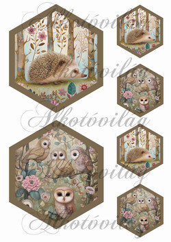 Woodland - cuki süni és baglyok hexagonokban 13,5 x 11,5 cm + 6,5 x 5,5 cm