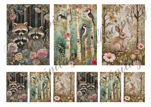 Woodland kártyák - cuki borzok, harkályok és nyuszi  12 x 8,5 cm és 6 x 4 cm