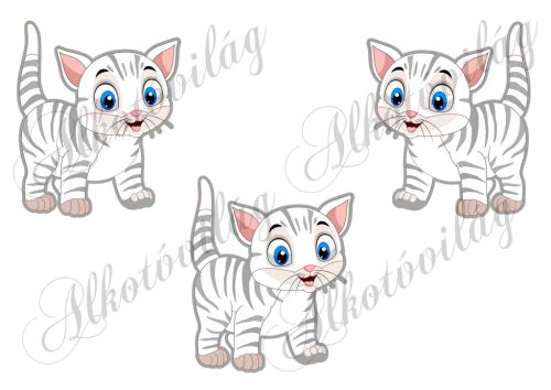 Fehér cicák 10 x 9 cm