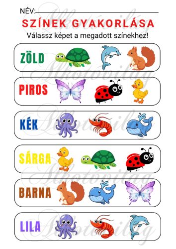 Készségfejlesztő lap - SZÍNEK GYAKORLÁSA